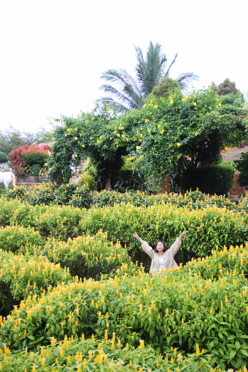 세부 시라오 가든