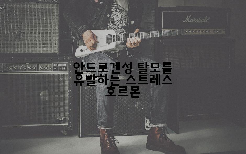 안드로겐성 탈모를 유발하는 스트레스 호르몬