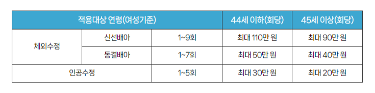 경기도난임지원