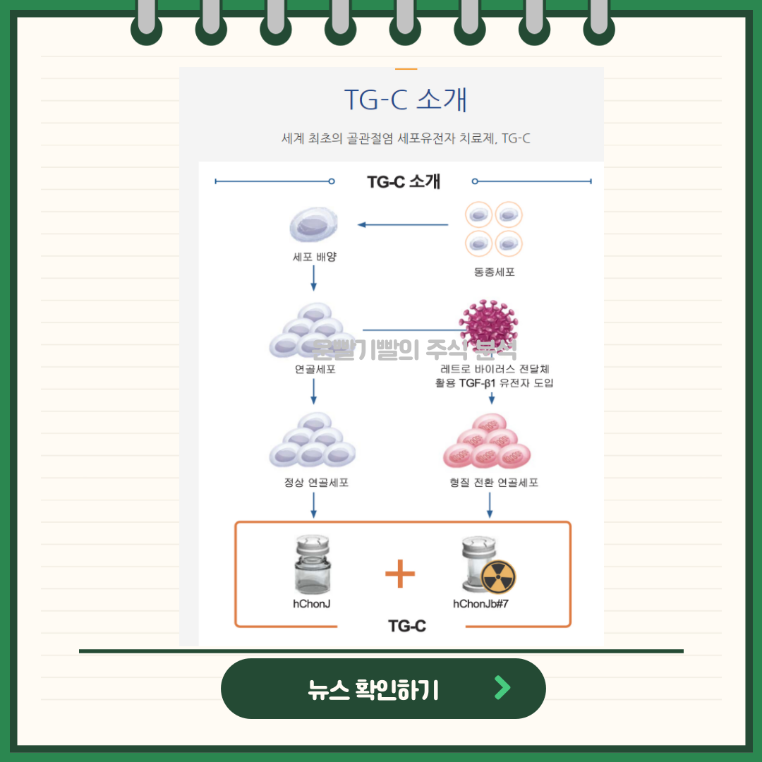 코오롱티슈진 뉴스