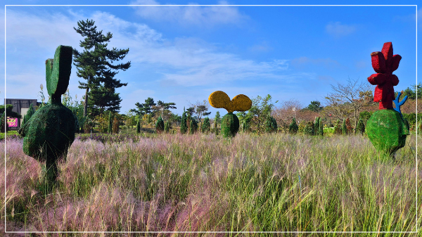 2025 태안 가을꽃 박람회 이미지 / 출처: 코리아플라워파크