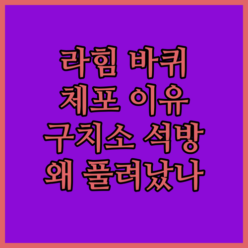 라힘 바퀴 시장, 왜 구치소에서 잡혀