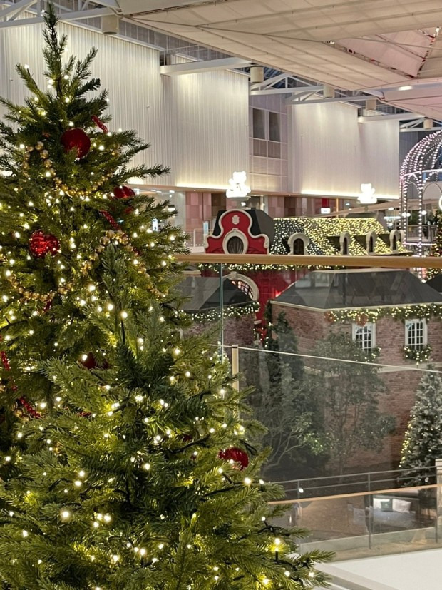 더현대 크리스마스 예약