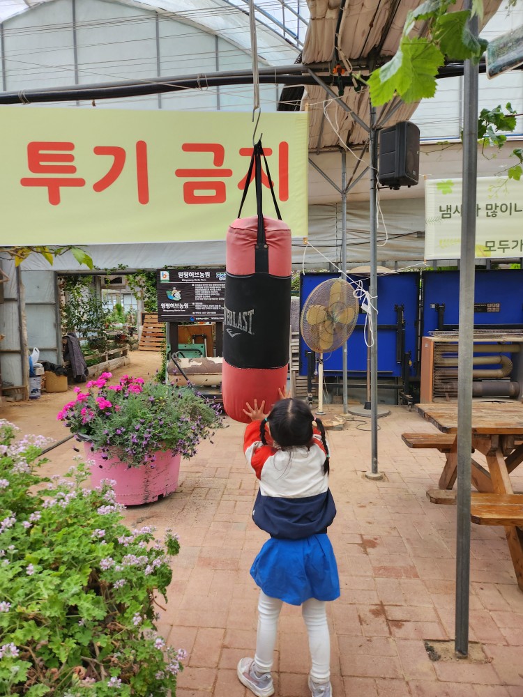 샌드백을 가지고 노는 아이