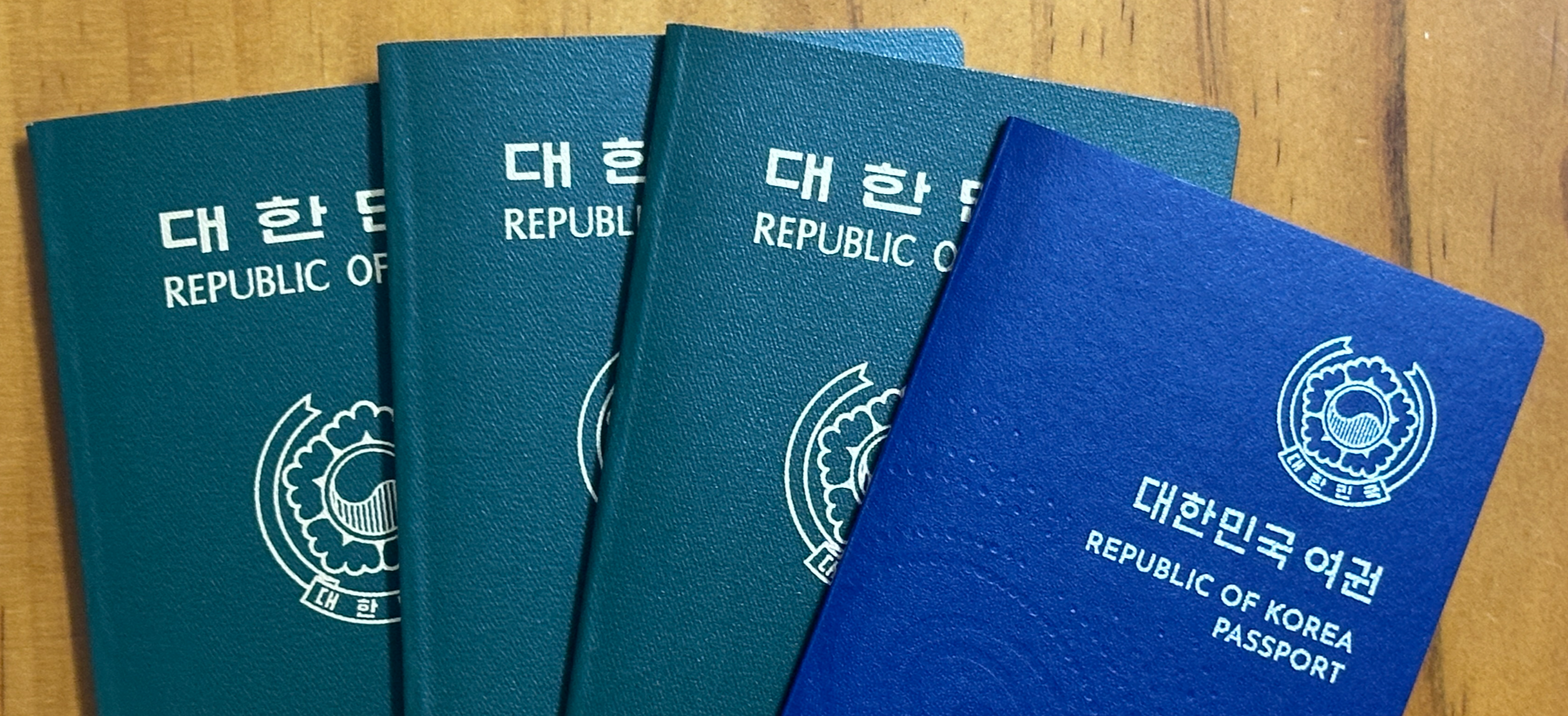 대한민국 여권