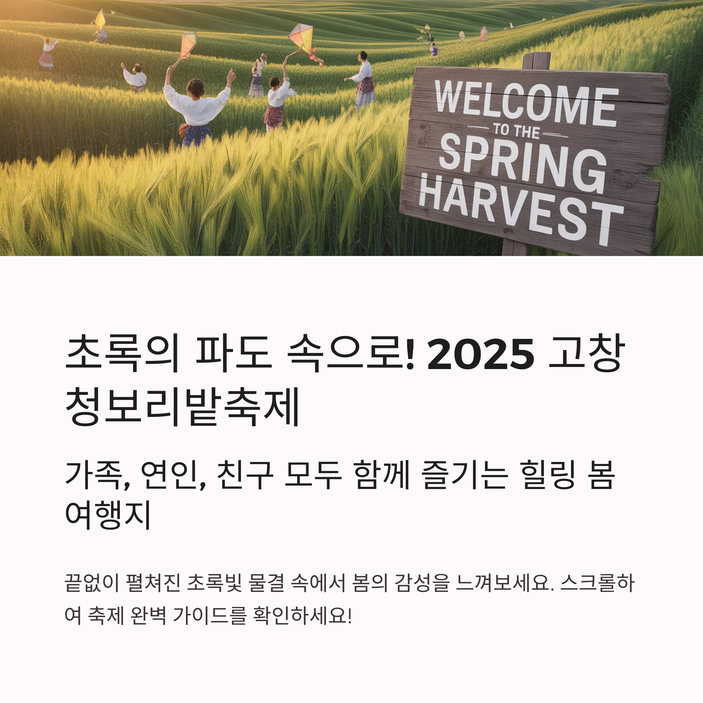 2025 고창청보리밭축제, 초록의 파도 속으로!
