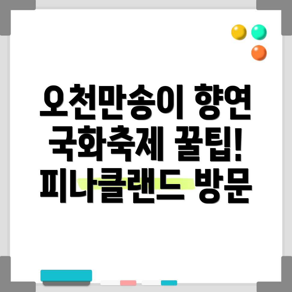 피나클랜드 오천만송이 국화축제