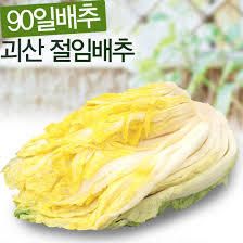 괴산 절임배추