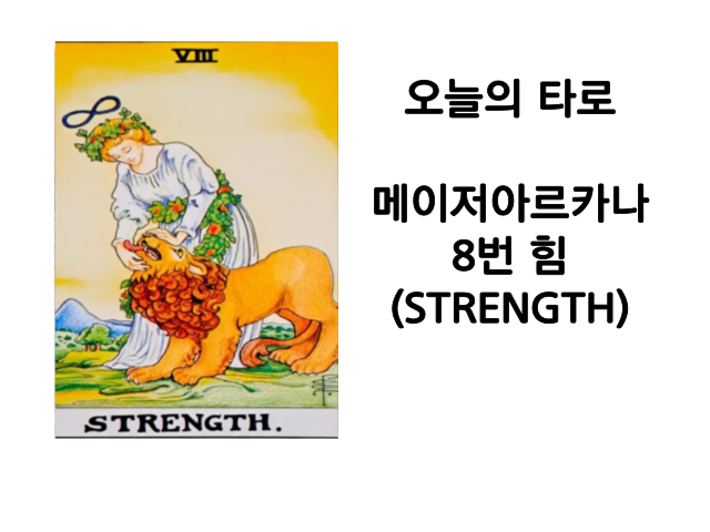 ]메이저 아르카나 8번 힘(STRENGTH)타로카드해석