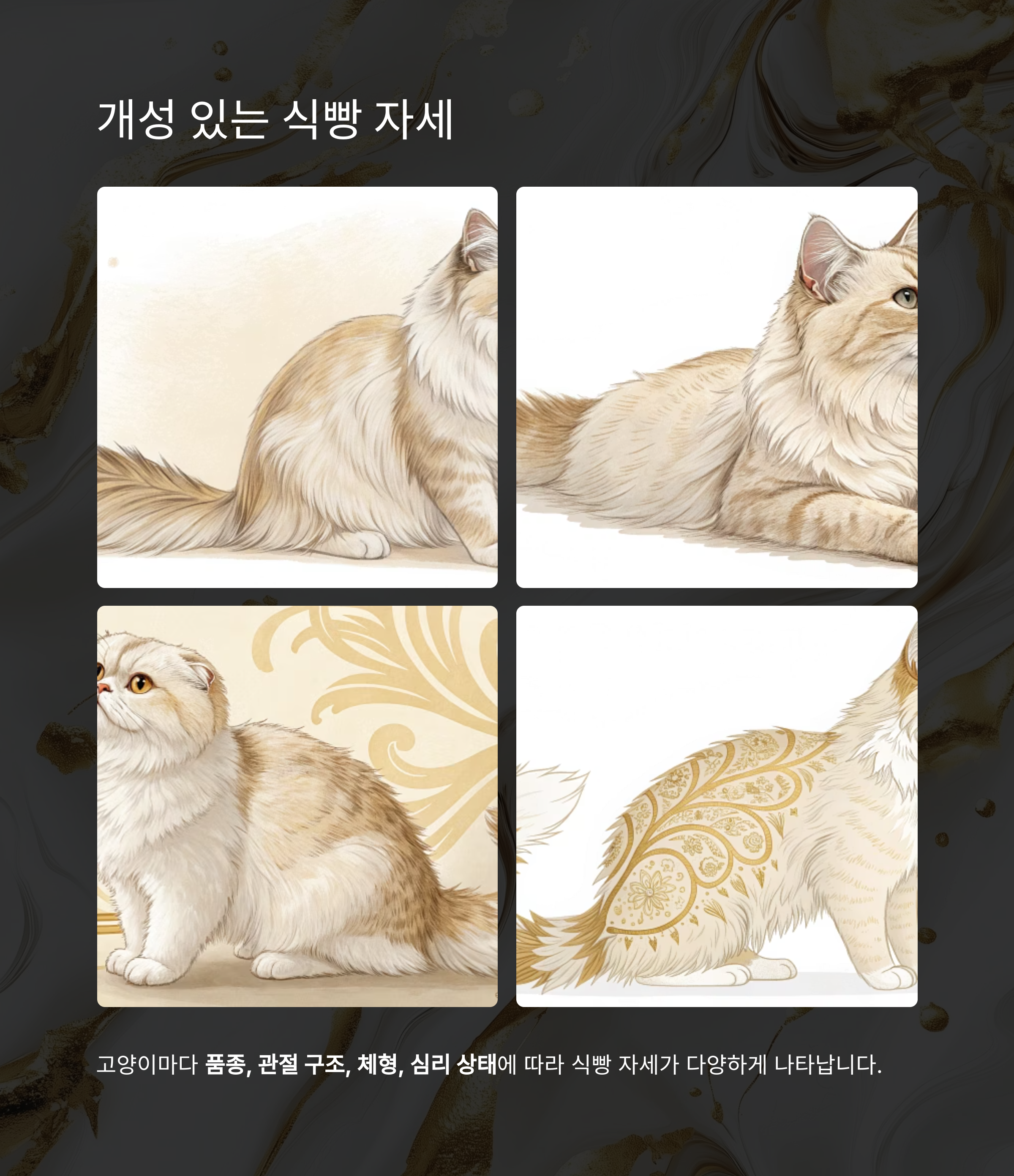 개성 있는 식빵 자세