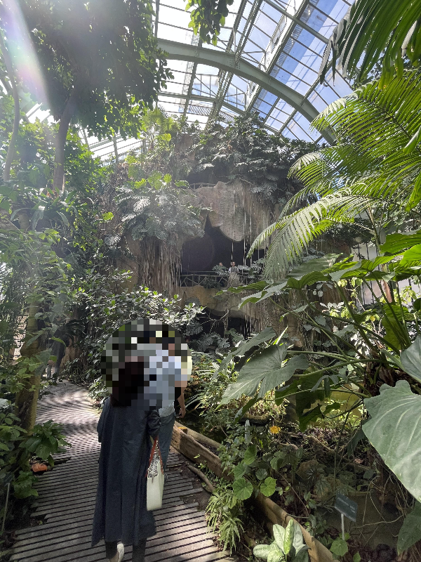 Tropical Rainforest