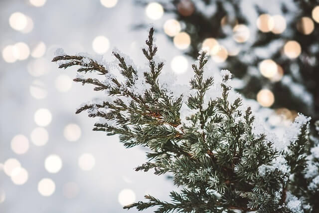 건강보험 자격득실 확인서 1분만에 발급받기