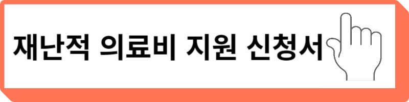 재난적 의료비 지원 사업