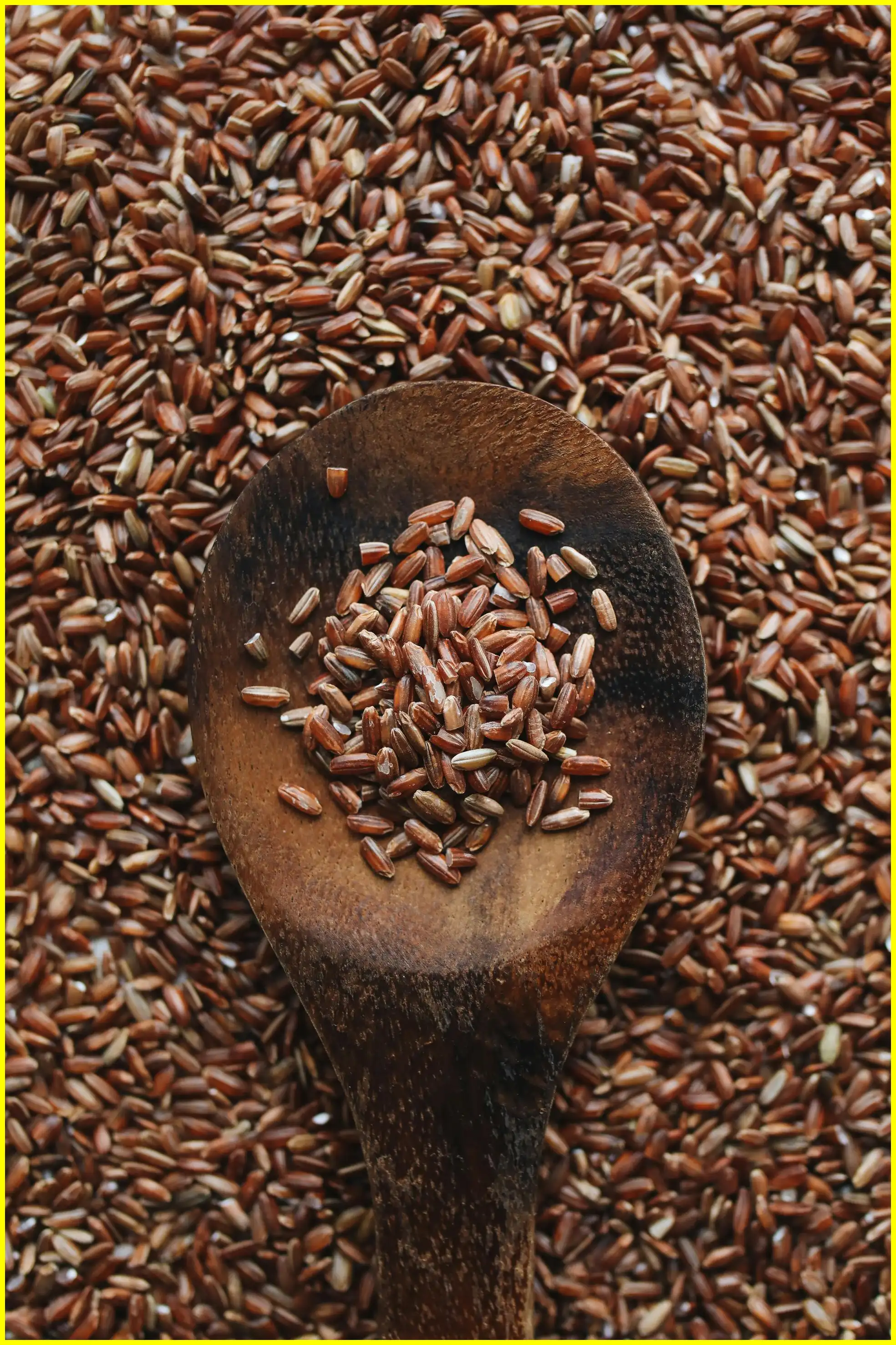 우리쌀 우리술 k-라이스페스타 일정 및 사전등록 무료관람 꿀팁