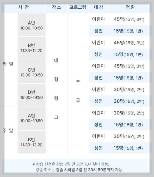 서울광장 스케이트장 강습 시간표