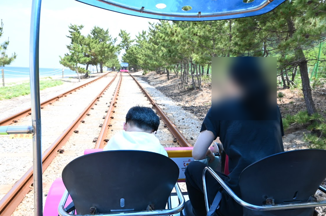 강릉 정동진 레일바이크 전동이라서 편하게 바다구경 할수 있어. 사진 11