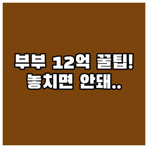 법률혼 필수 부부 증여 12억 공제 ..