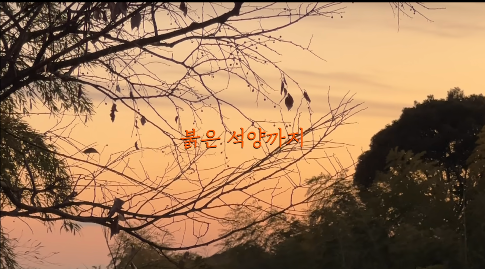넷플릭스 예능: 고로상 Pick! 성시경도 반한 미친맛집 일본 최고의 탄탄면&amp;치즈케이크