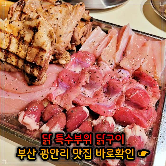 모닝 투데이 부산 광안리 닭고기 모둠구이 맛집