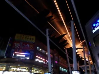 대전 은행동 역전 새벽시장하루가 가장 먼저 시작되는 따뜻한 풍경 기록_15