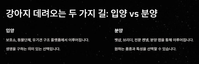 강아지 키우기: 초보견주를 위한 입분양부터 준비물 주의사항