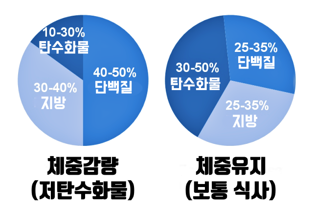 다이어트 식이요법,다이어트식이조절,감량 탄단지 비율