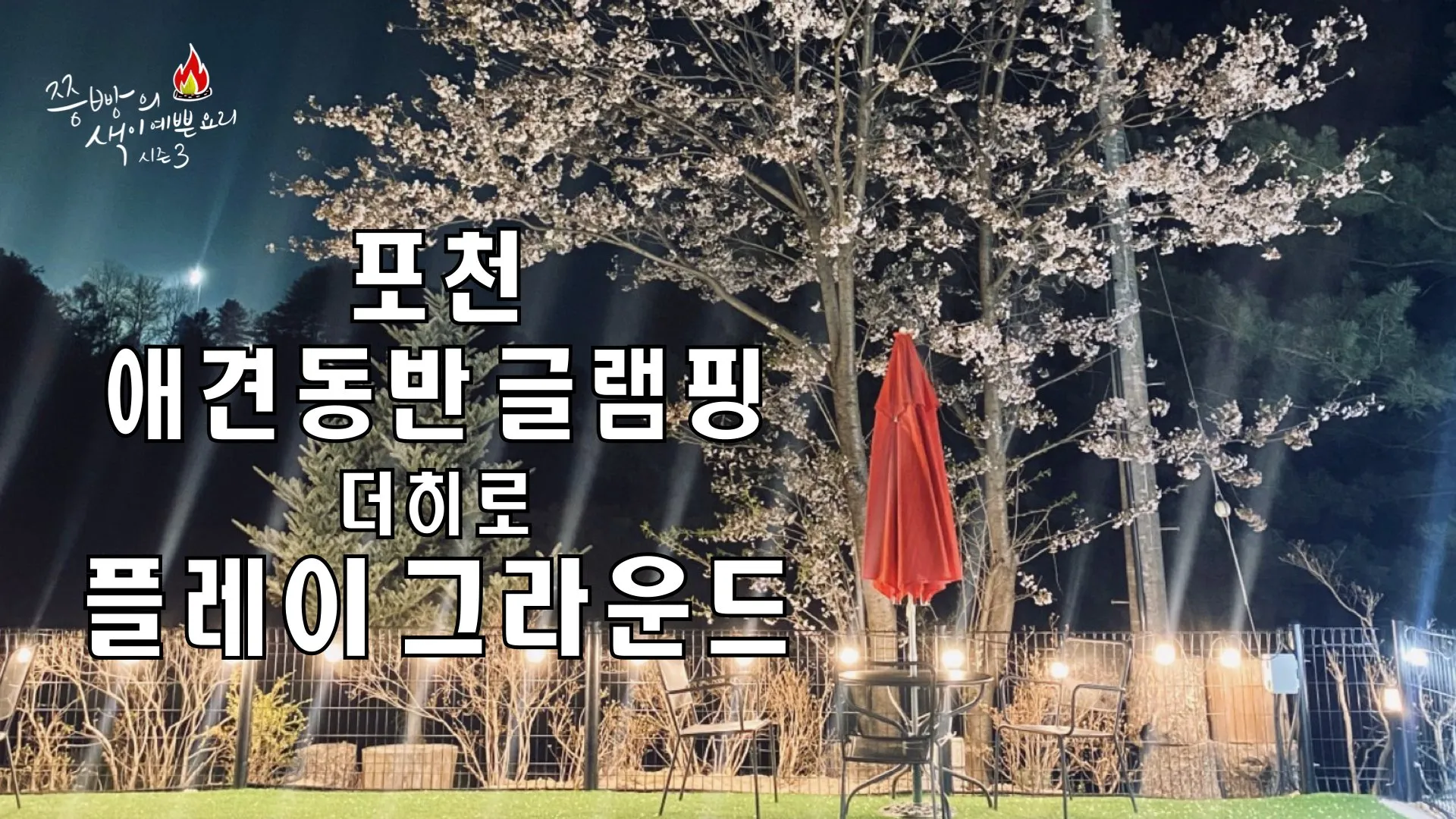 포천애견글램핑 포천 애견식당 당일치기 글램핑 해피캠핑 바베큐 바우어캠프 포천 완벽 체험_2