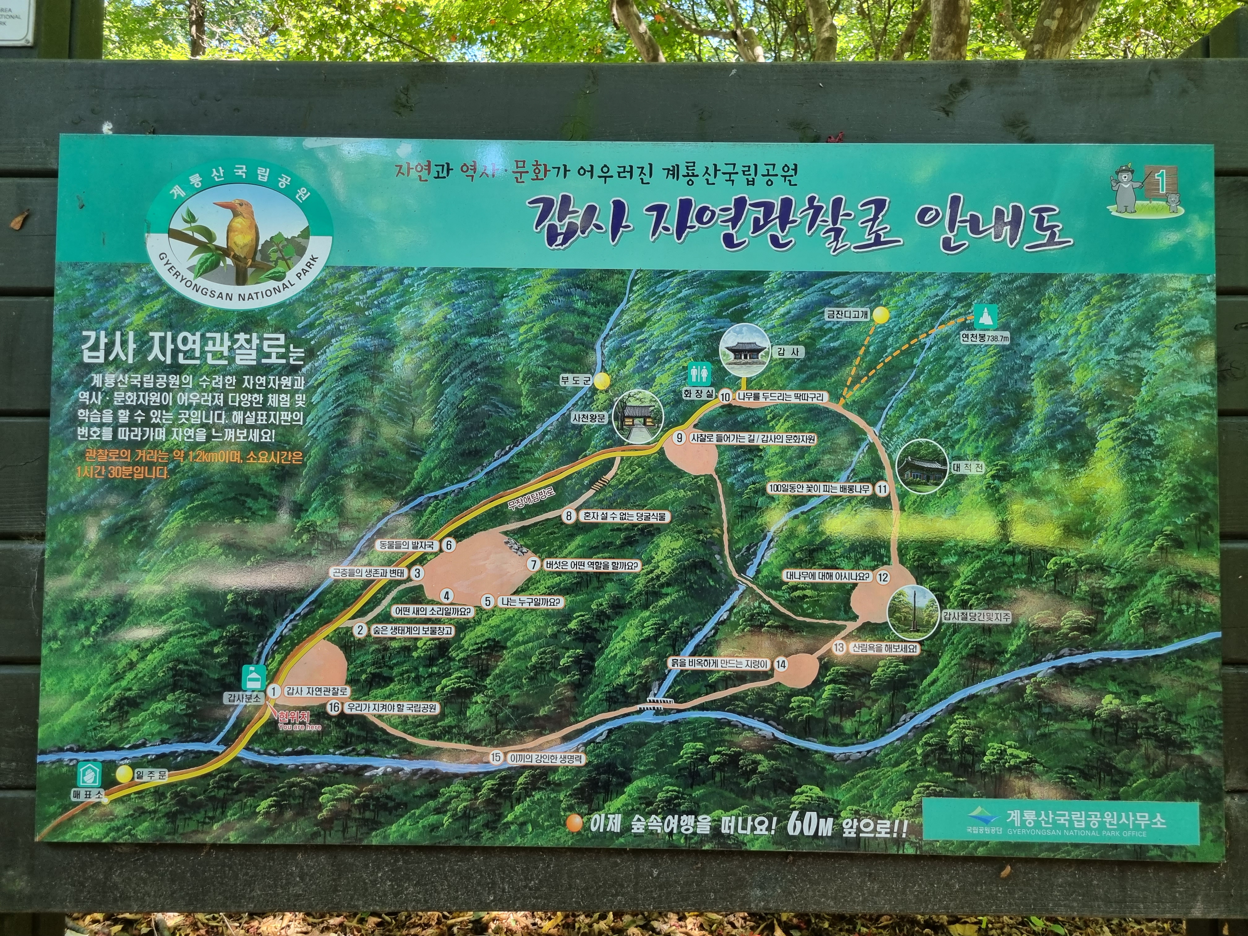 갑사-자연관찰로-안내도