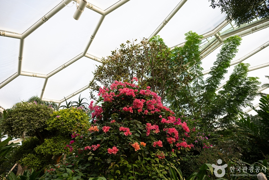 부천 가볼만한곳 베스트10