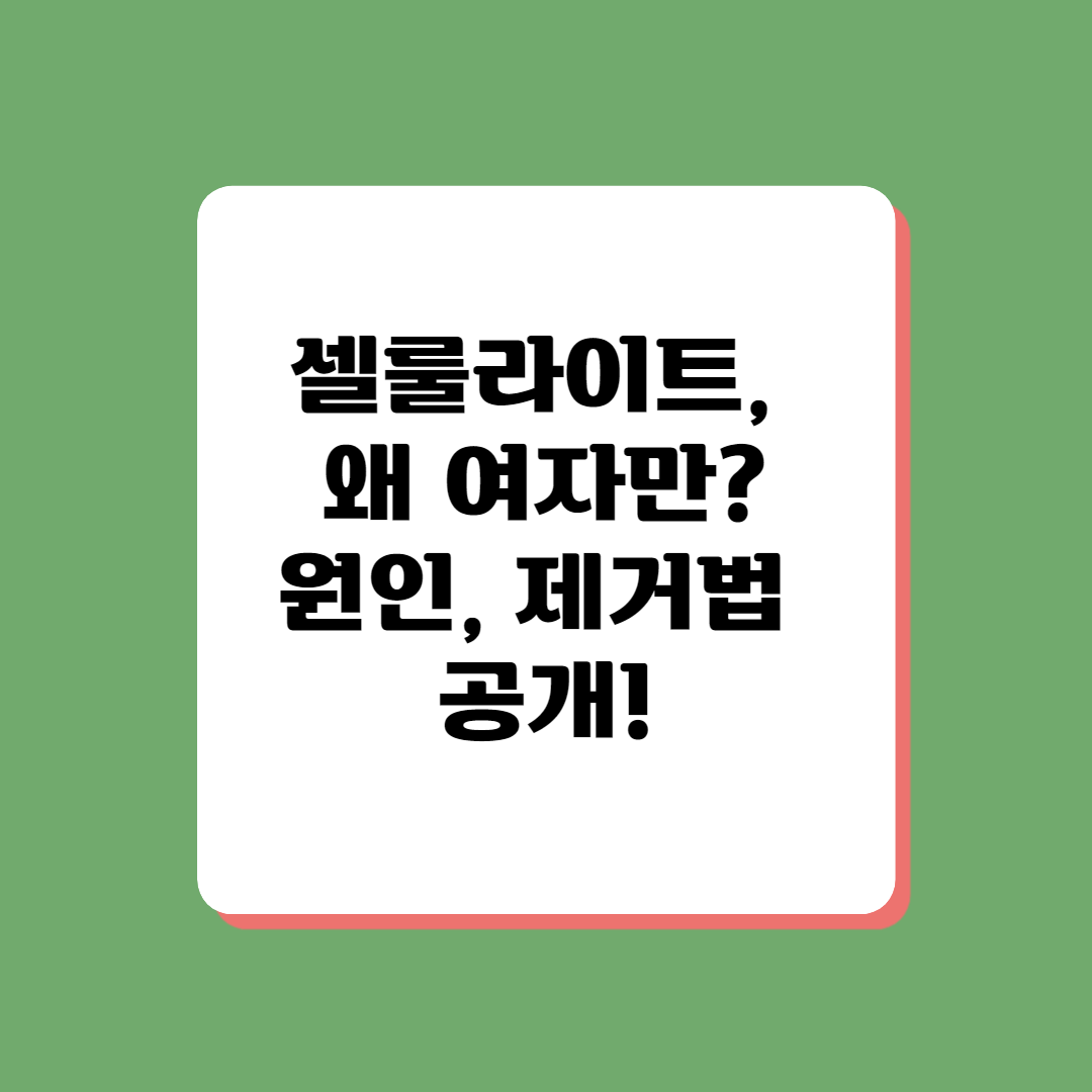 셀룰라이트 제거 방법 추천