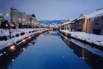 북해도 후라노 라벤더 축제 시즌 개화 시기 이벤트 일정 대표 명소 여행 완벽 가이드_21