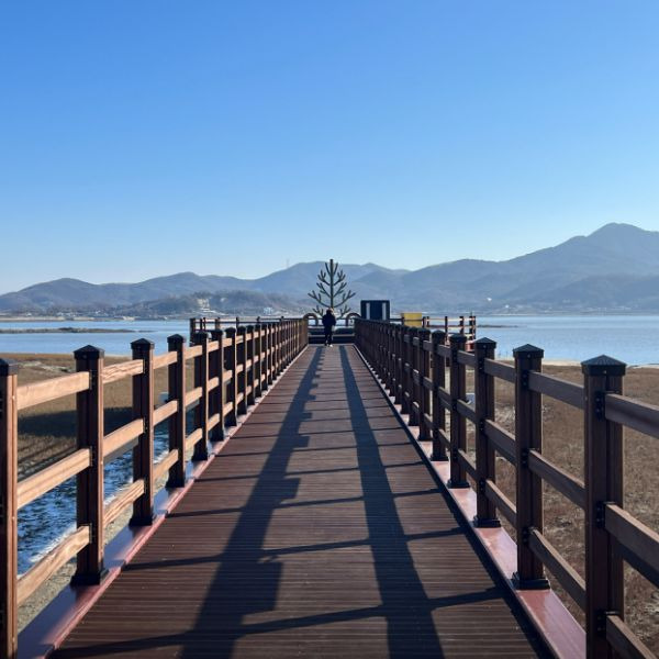 석모도 칠면초 군락지