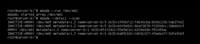 레이드 문제 발생과 조치 방법