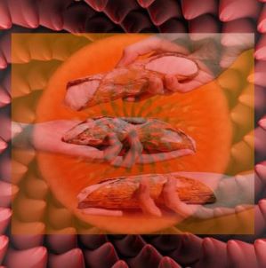 면역학적 반응 이미지