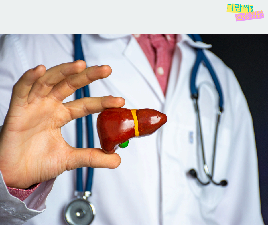 지방간이란? 초기 증상과 치료 방법 총정리