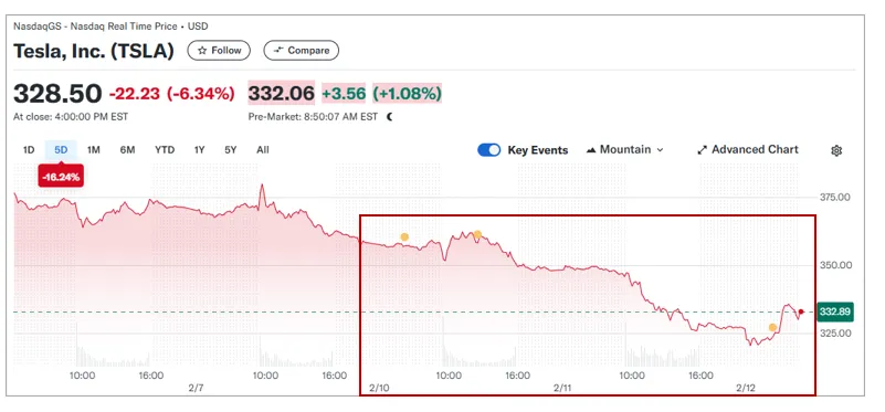 2025년 2월 12일 테슬라(Tesla) 주가 현황 이미지