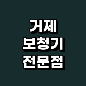 거제시 보청기