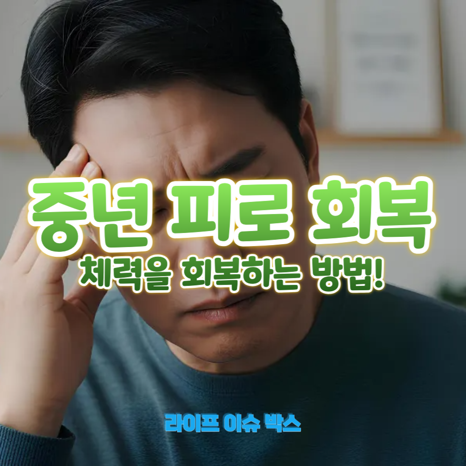 중년 피로 회복