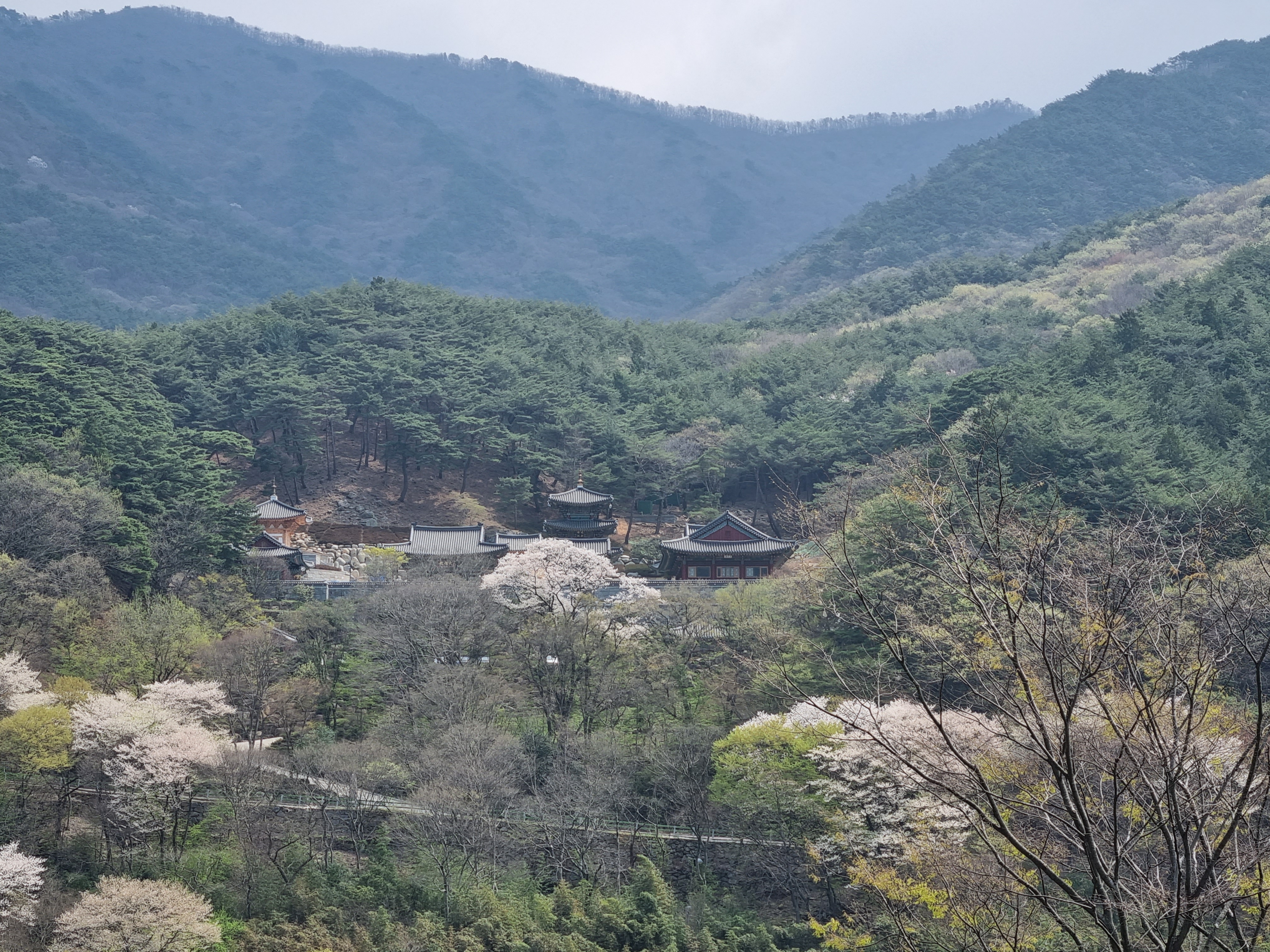 화엄사