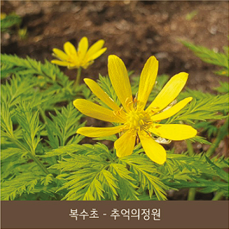 화담숲 예약 모노레일