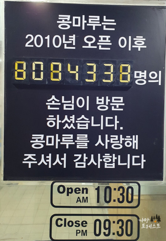 콩마루 방문자수