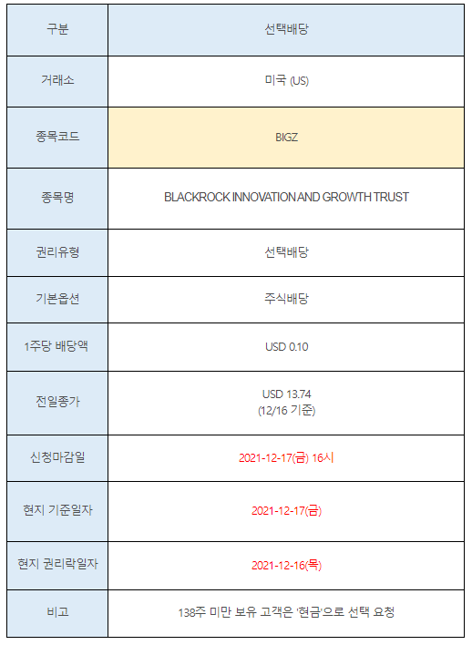 미국주식 선택배당 안내 BIGZ