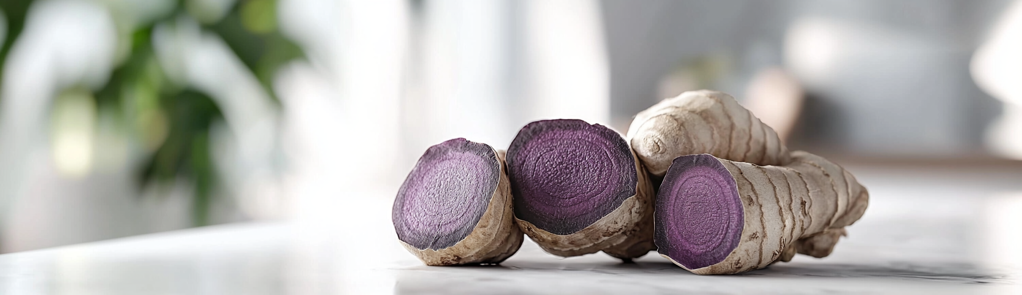 2025 흑생강의 모든 것: 효능, 최신 연구, 활용법 총정리