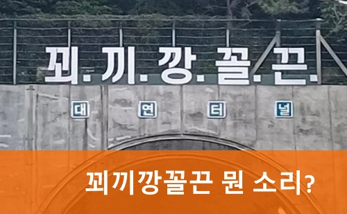 꾀끼깡꼴끈 뜻