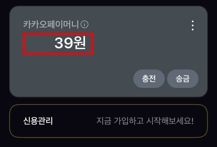 카카오페이_내역