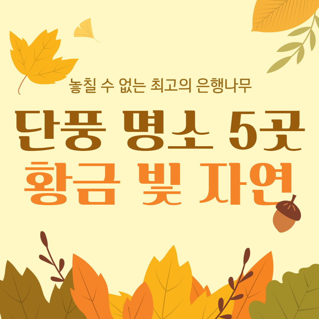 단풍 명소 5곳 황금 빛 자연