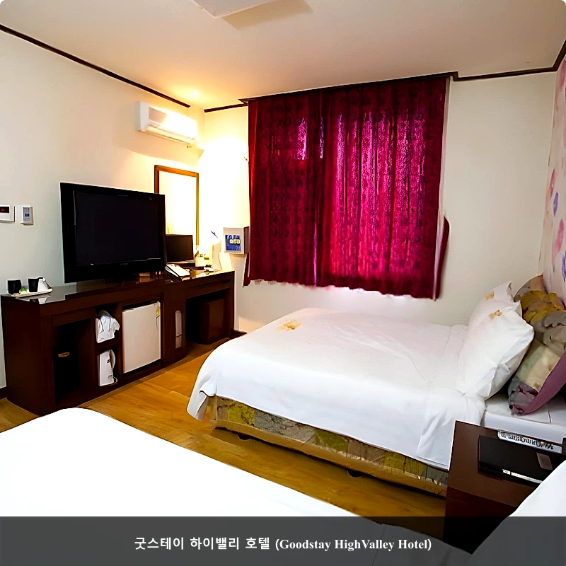 굿스테이 하이밸리 호텔 (Goodstay HighValley Hotel)_4