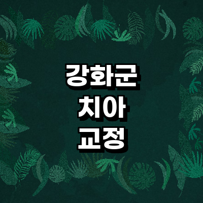인천 강화군 교정 치과