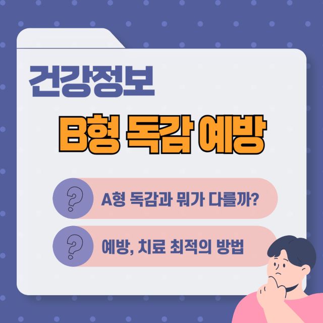 B형 독감 증상 예방 치료