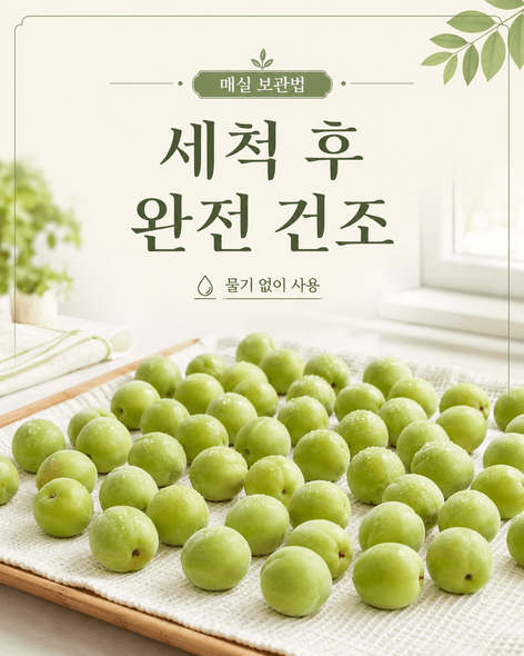 매실수확시기